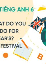 Unit 12 What do you usually do for New Years - Monkey Festival - Tiếng Anh 6  -  Hoc10